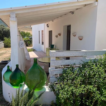 Casa Filippa Villa ซัสซารี ภายนอก รูปภาพ